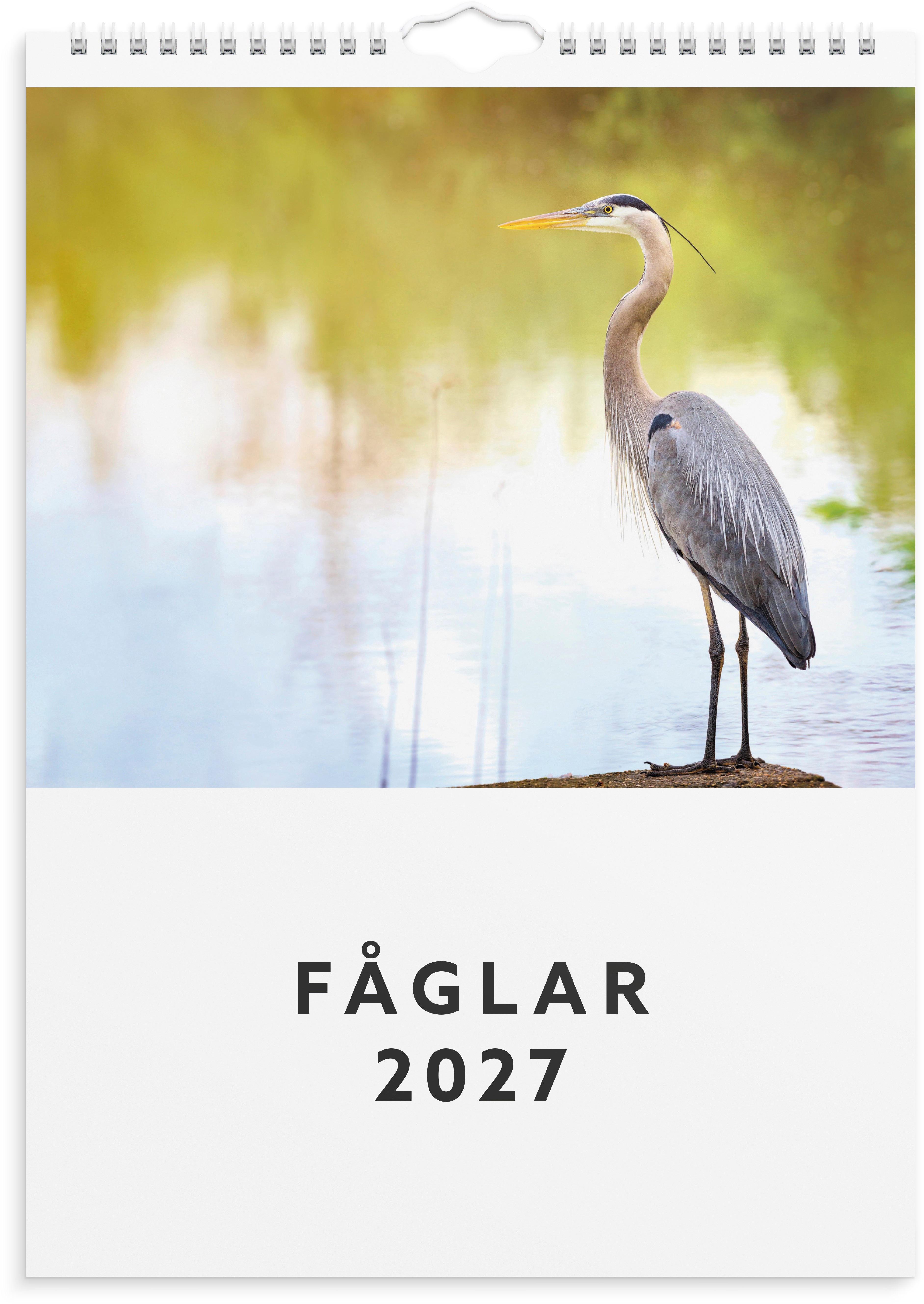 Väggkalender 2027 Fåglar Burde