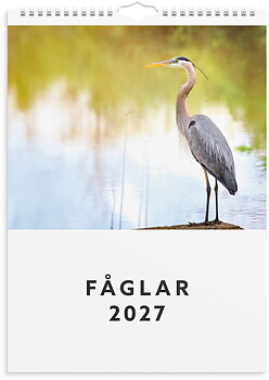 Väggkalender 2027 Fåglar Burde