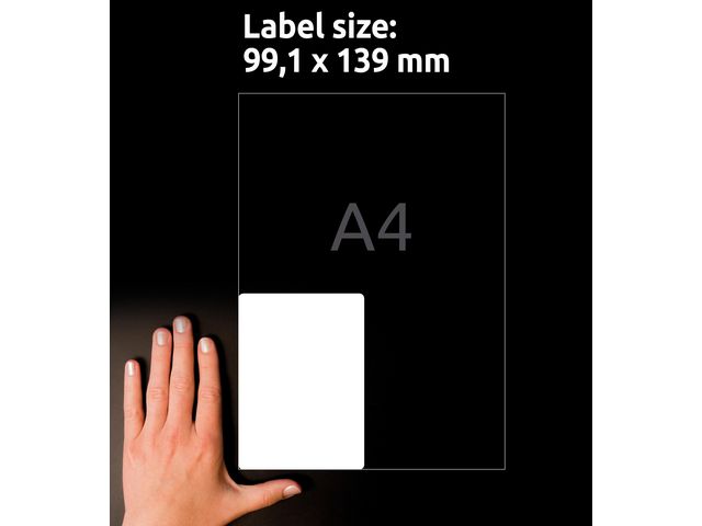 Etikett L4774 99,1x139mm 80/fp
