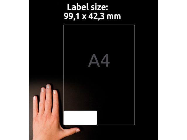 Etikett L4776 99,1x42,3mm 240/fp