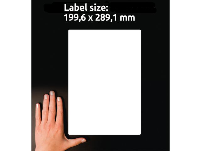 Etikett LR7167 199,6x289,1mm 100/fp