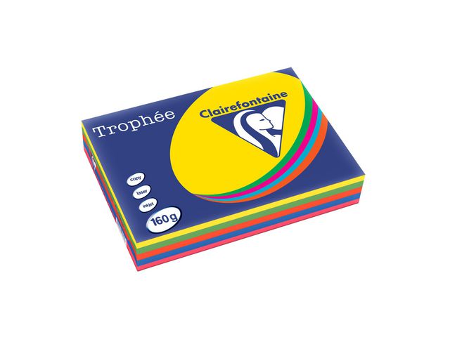 Kop.ppr TROPHE&Eacute; A4 160g oh intensiv 250/