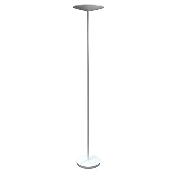 Golvlampa LED SLIM Vit