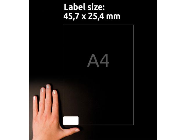 Etikett AVERY Stretch 457x254mm 800/fp
