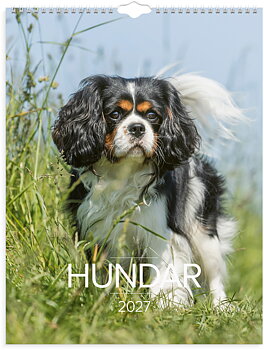 Väggkalender Stora Hundkalendern 2027 Burde