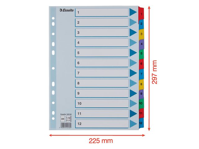Register Esselte Mylar A4 1-12