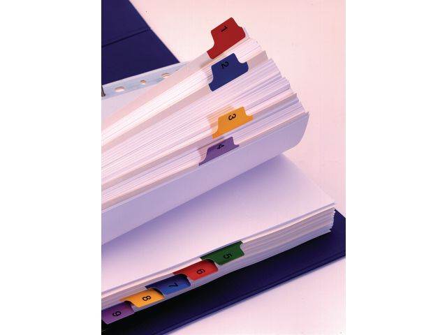 Register Esselte Mylar A4 1-12