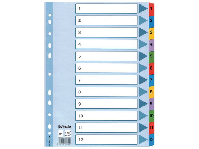 Register Esselte Mylar A4 1-12