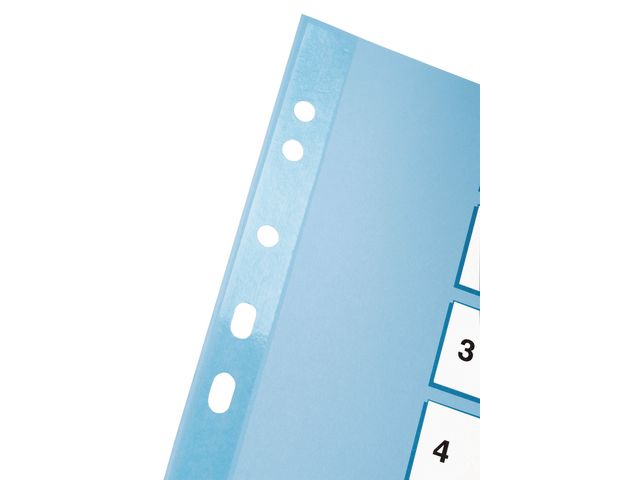 Register Esselte Mylar A4 1-12