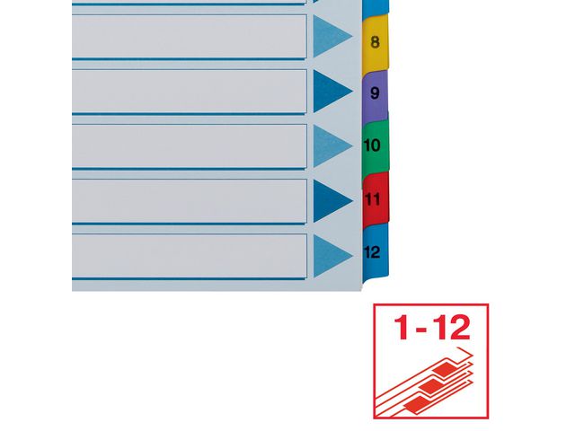Register Esselte Mylar A4 1-12