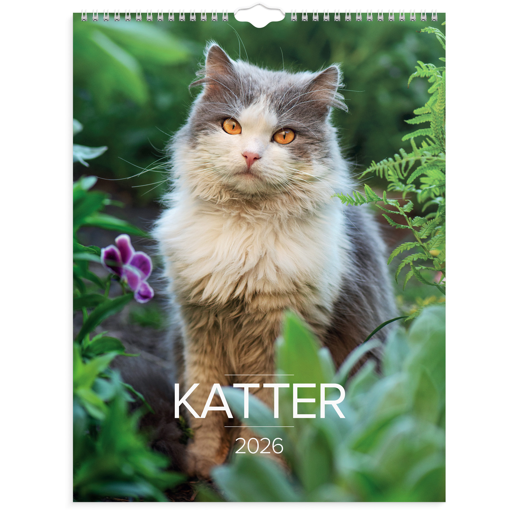 Stora Kattkalendern 2026 vägg