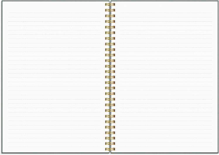 Life Planner Do more 2027