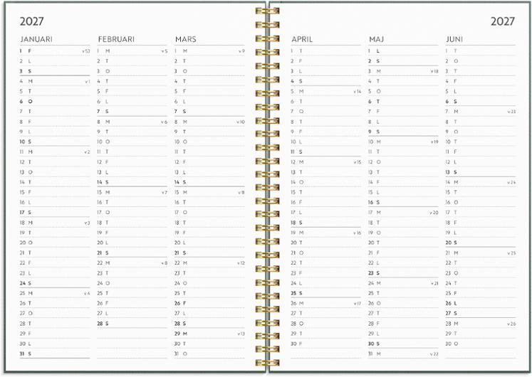 Life Planner Do more 2027