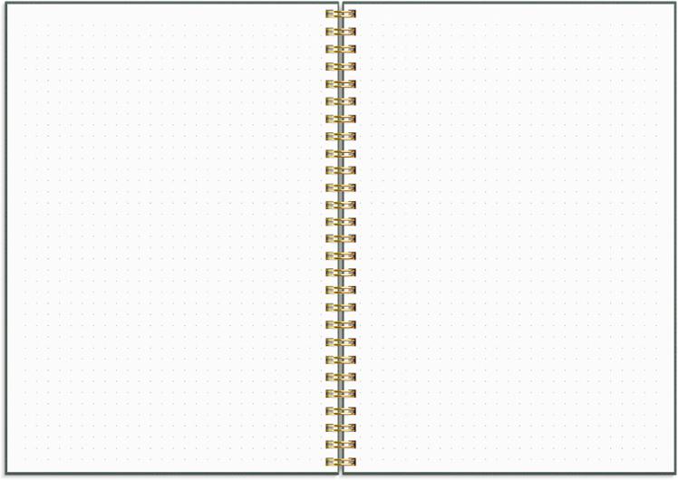 Life Planner Do more 2027