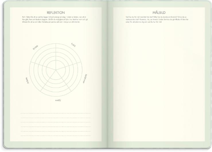 Life Planner Dream & Do 2027