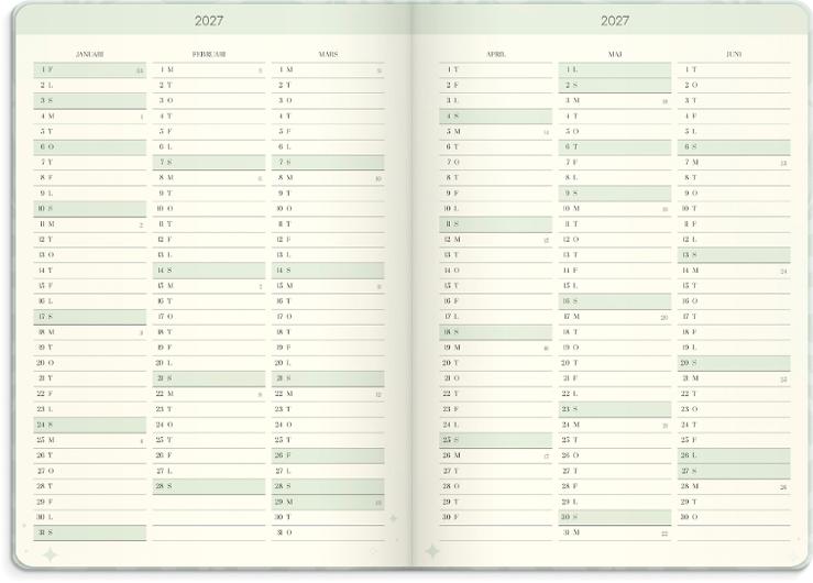 Life Planner Dream & Do 2027