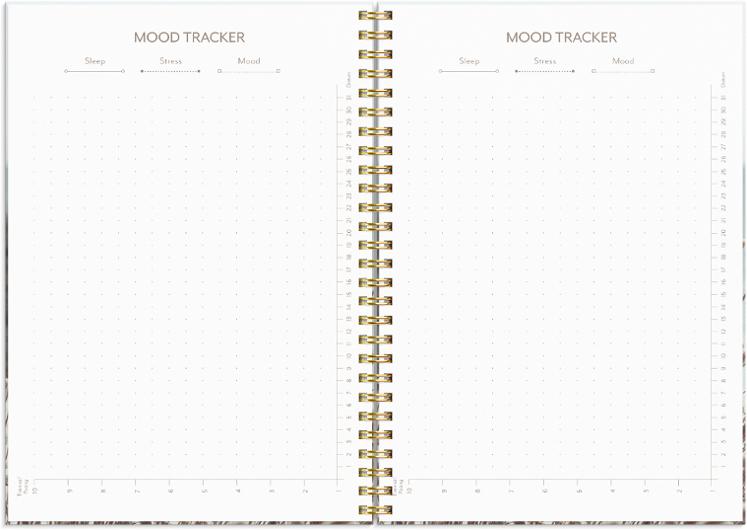 Life Planner Feel good 2027