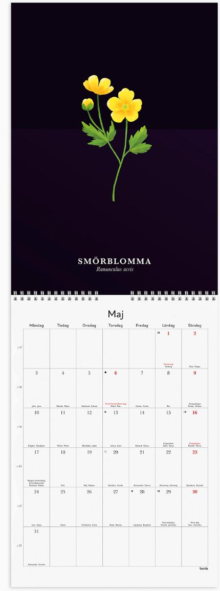 Väggkalender Illustrerad blomster 2027