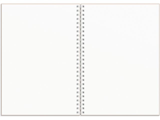 Kalender Plan more A5 25/26