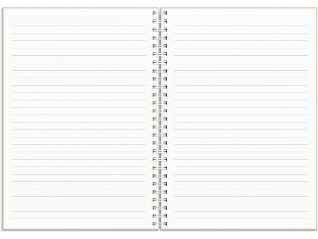 Kalender Plan more A5 25/26