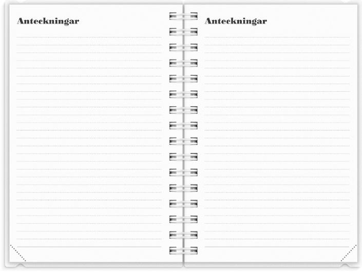 Dagbok 4i1 2027