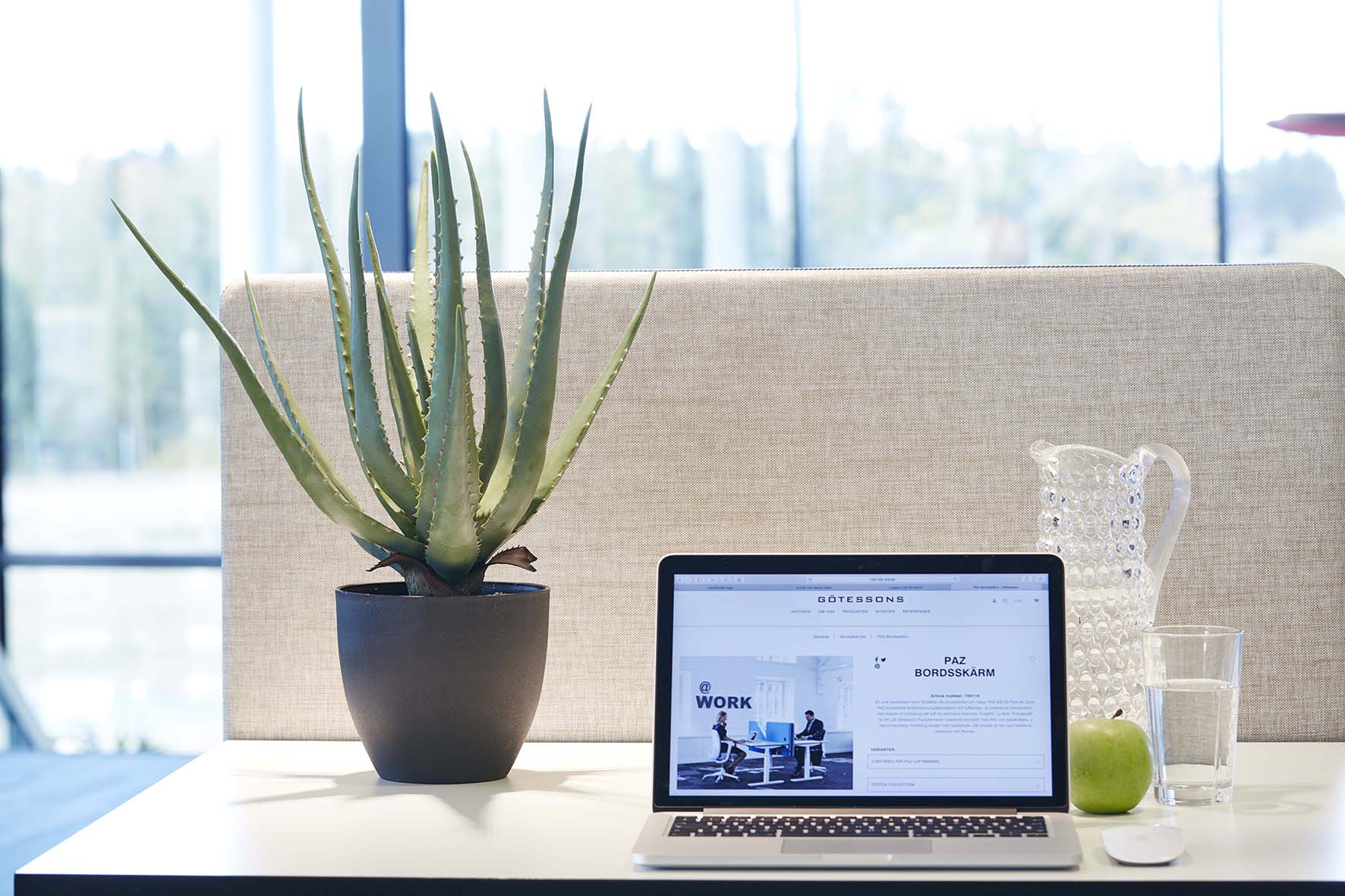Krukväxt plast Aloe Vera med kruka
