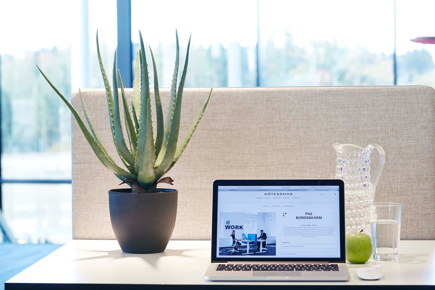 Krukväxt plast Aloe Vera med kruka