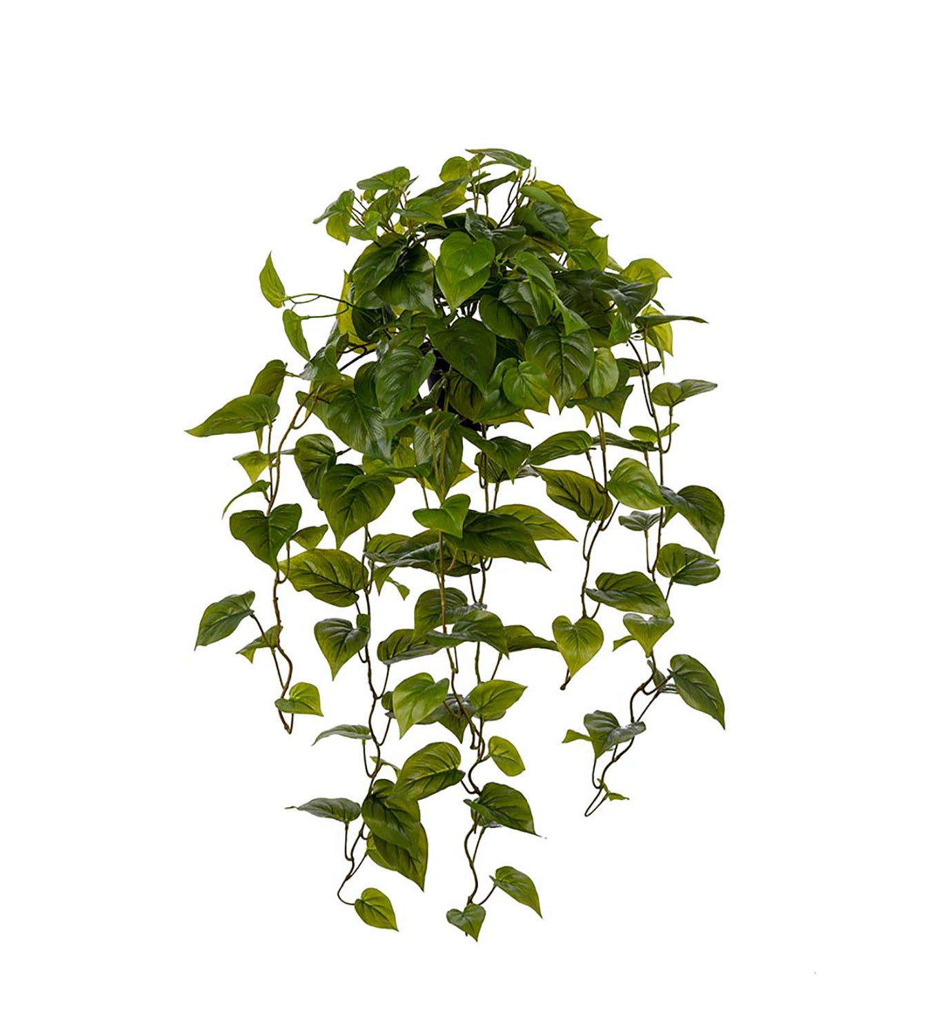 Konstväxt Gullranka 100 cm