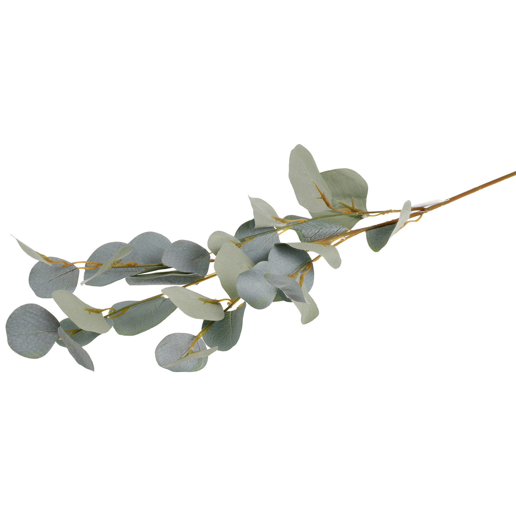 Konstväxt Eucalyptus 90cm