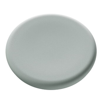 Magnet 30mm glastavla sage 5fp