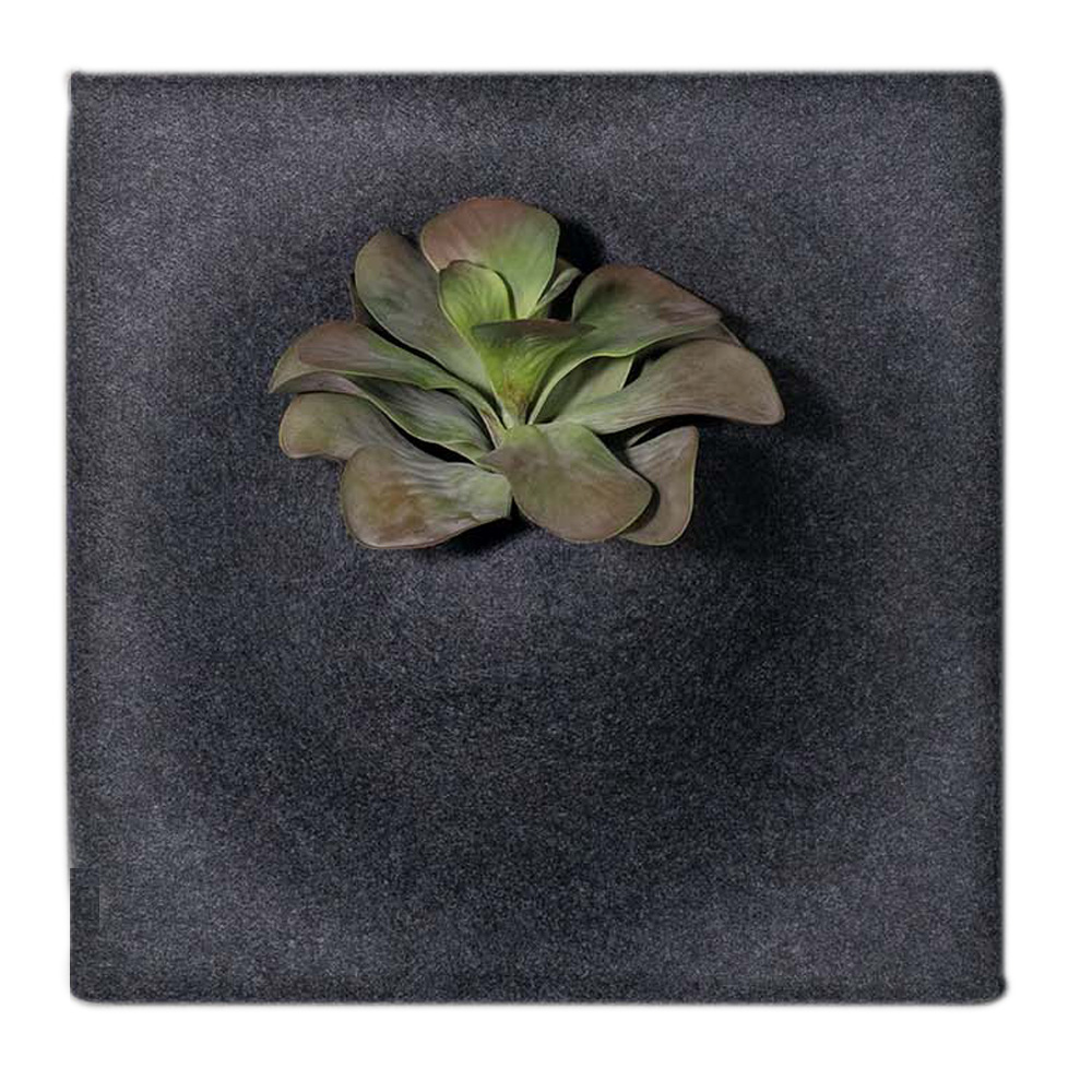 Ljudabsorbent PlantPanel 58x58x21 cm Slate