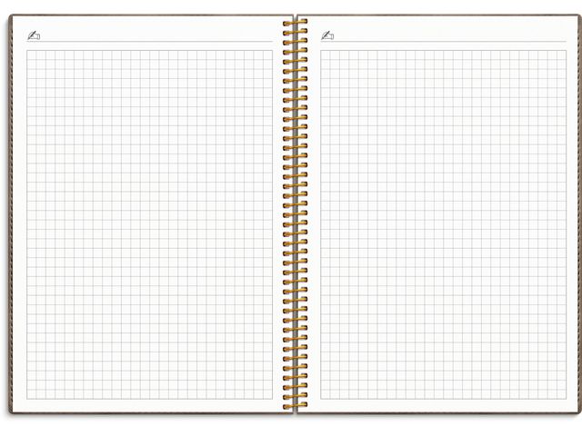 Kalender Study Twist mocca A5 25/26