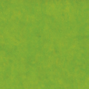Silkespapper 50x70cm ljusgr&ouml;n 25/fp