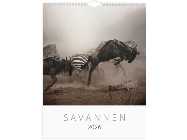 Väggkalender Savannen 2026