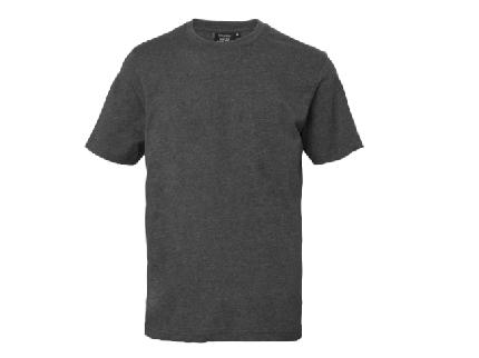 T-shirt SOUTH WEST Kings GOTS.grå - 2