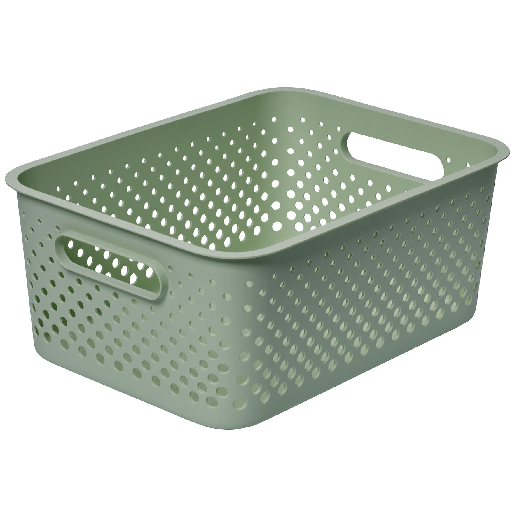 Förvaringslåda Essence L 36,5x27x15cm Grön