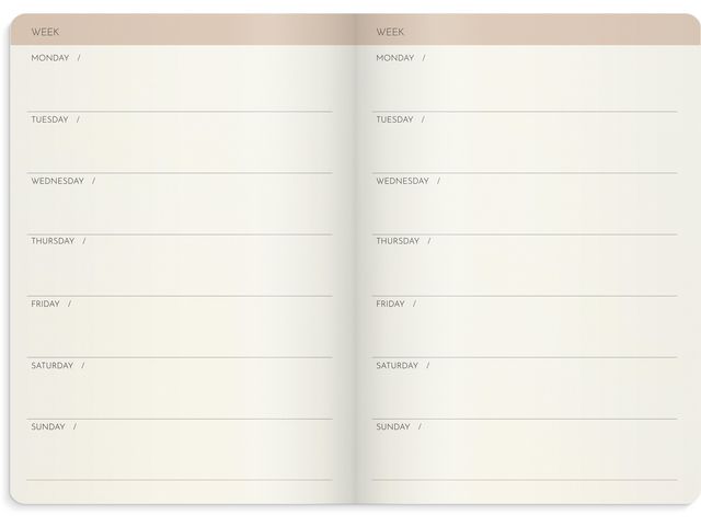 Week Planner Deluxe odaterad