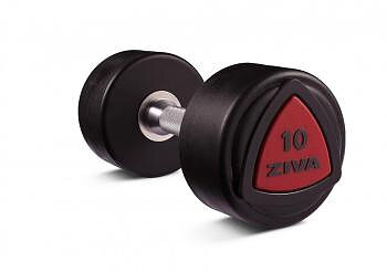 Hantel Ziva Urethane