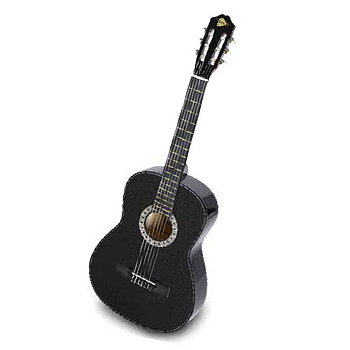 Nybörjargitarr