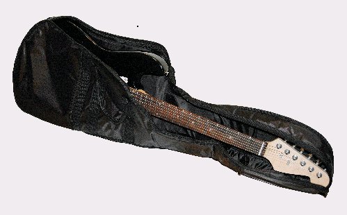 Gitarr bag