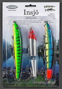 Fiskedrag set insjö