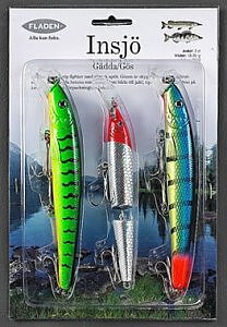 Fiskedrag set insjö