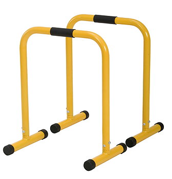 Trainingbar Maxi