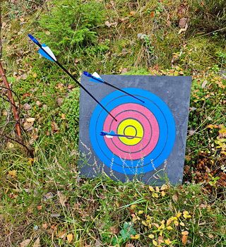Pilfång till bågskytte