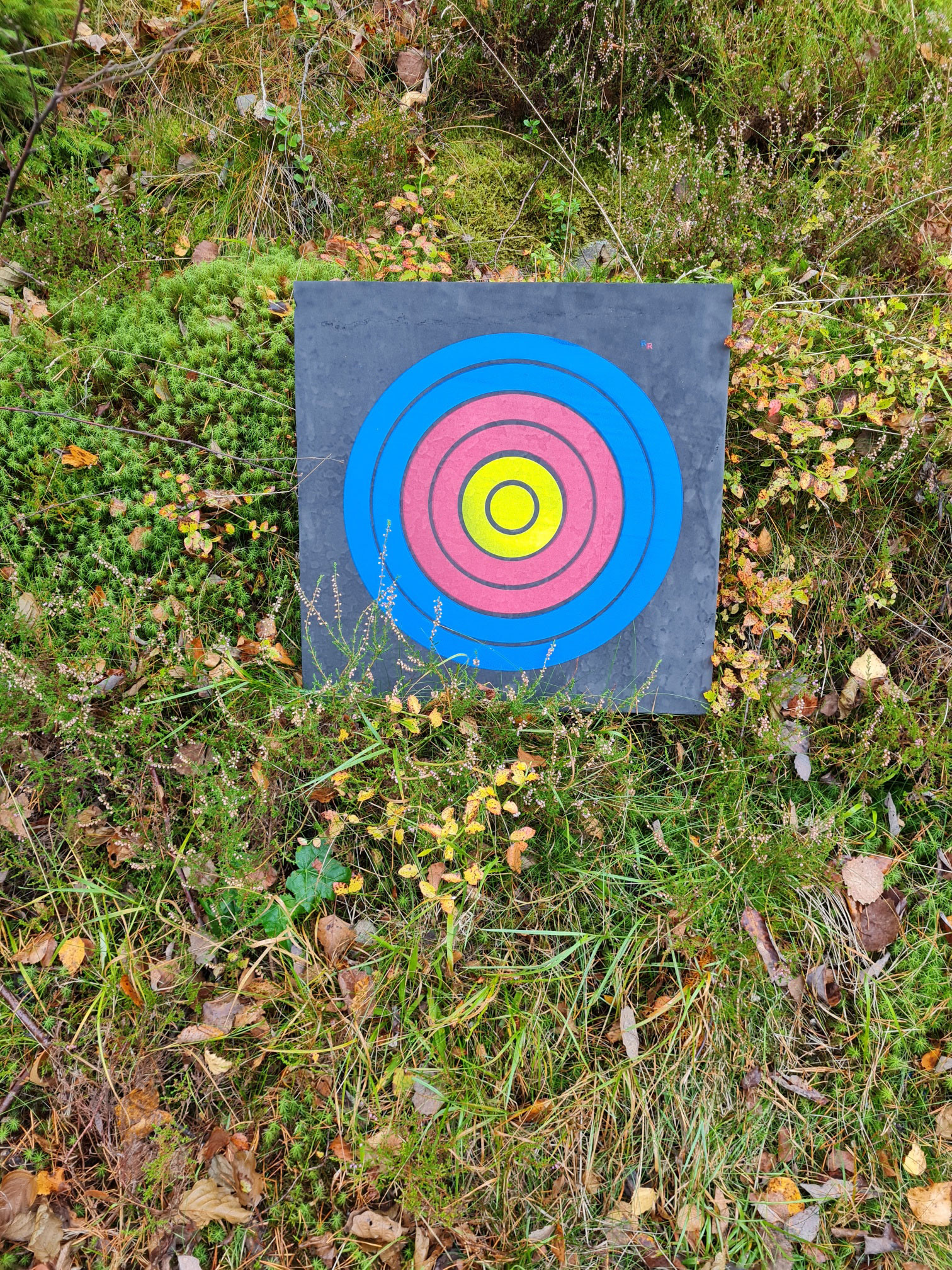 Pilfång till bågskytte - 3