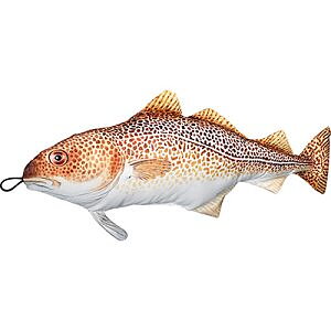 Mjukisdjur Torsk - 63cm