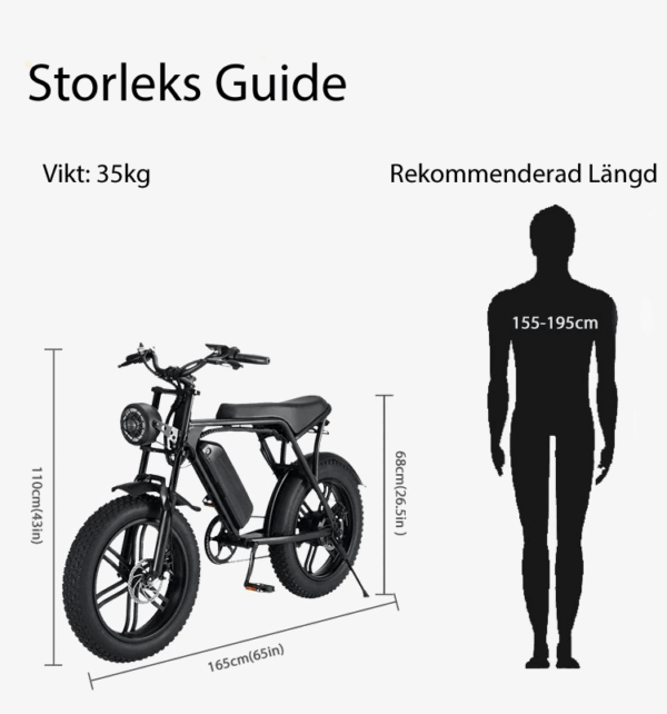 Elcykel Pionver E-bike P80 - 4