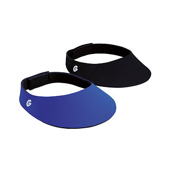 Standard visor