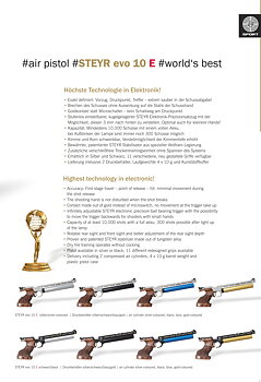 STEYR LP 10