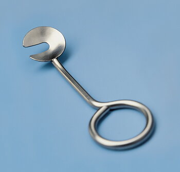 BUTTON HORN